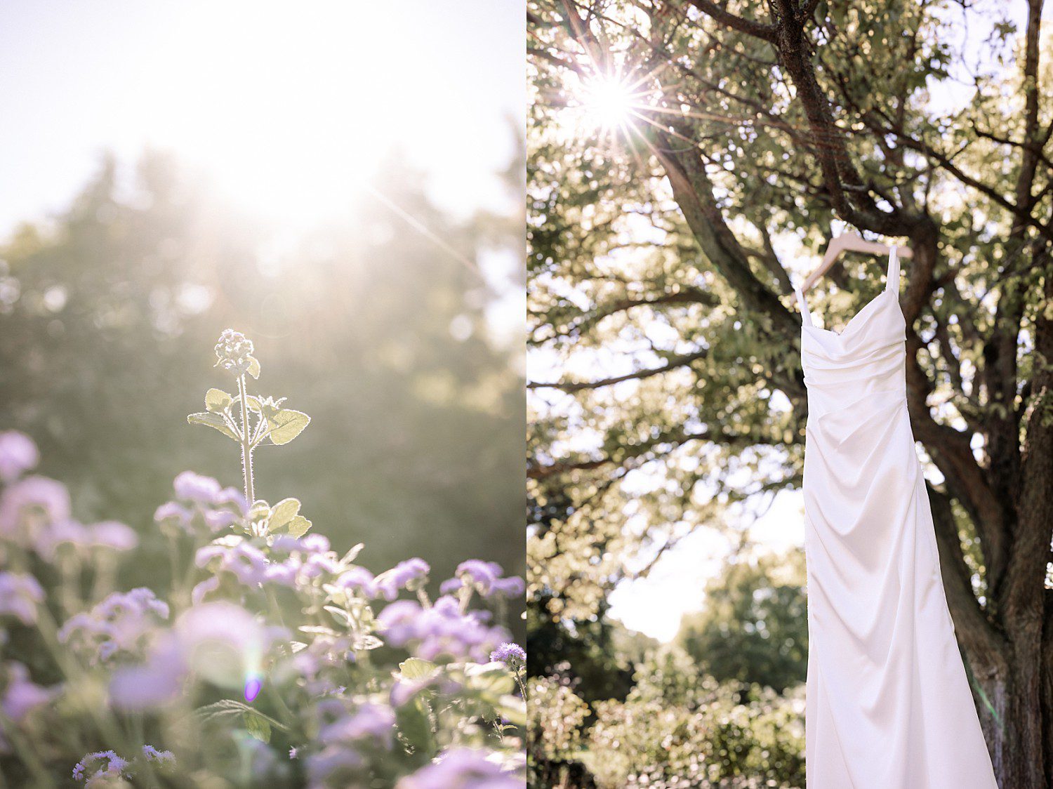 Noelle's wedding gown hanging in a sunlit tree beside purple garden blooms at Boerner Botanical Gardens in Hales Corners, Wisconsin